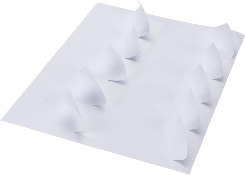 10 Up - Shipping Address Labels - 2" x 4" - 2000 Labels