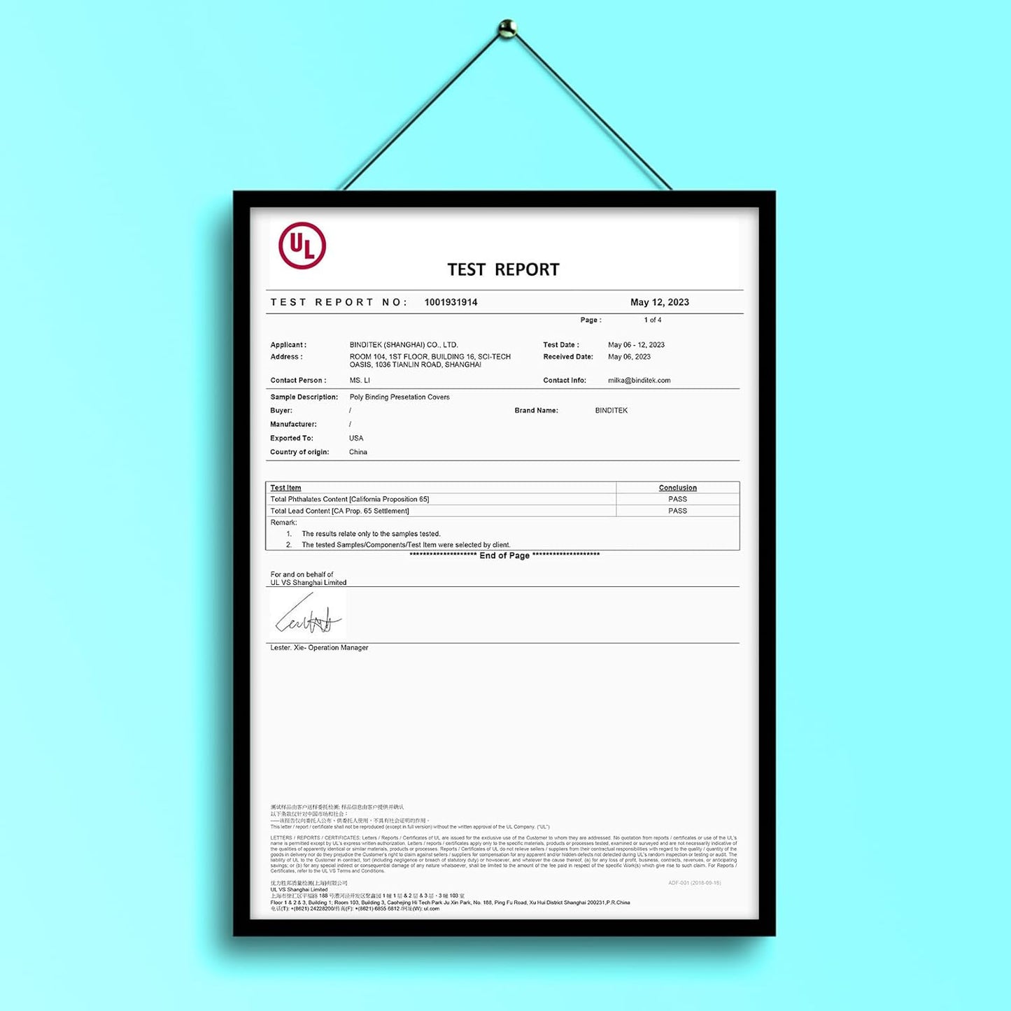 Binditek 50 Pack 20 Mil Frosted Polycover, Semi-Transparent Binding Covers, 8-1/2 x 11 Inches, Lightly Textured Sand Finish, Square Corners, Unpunched