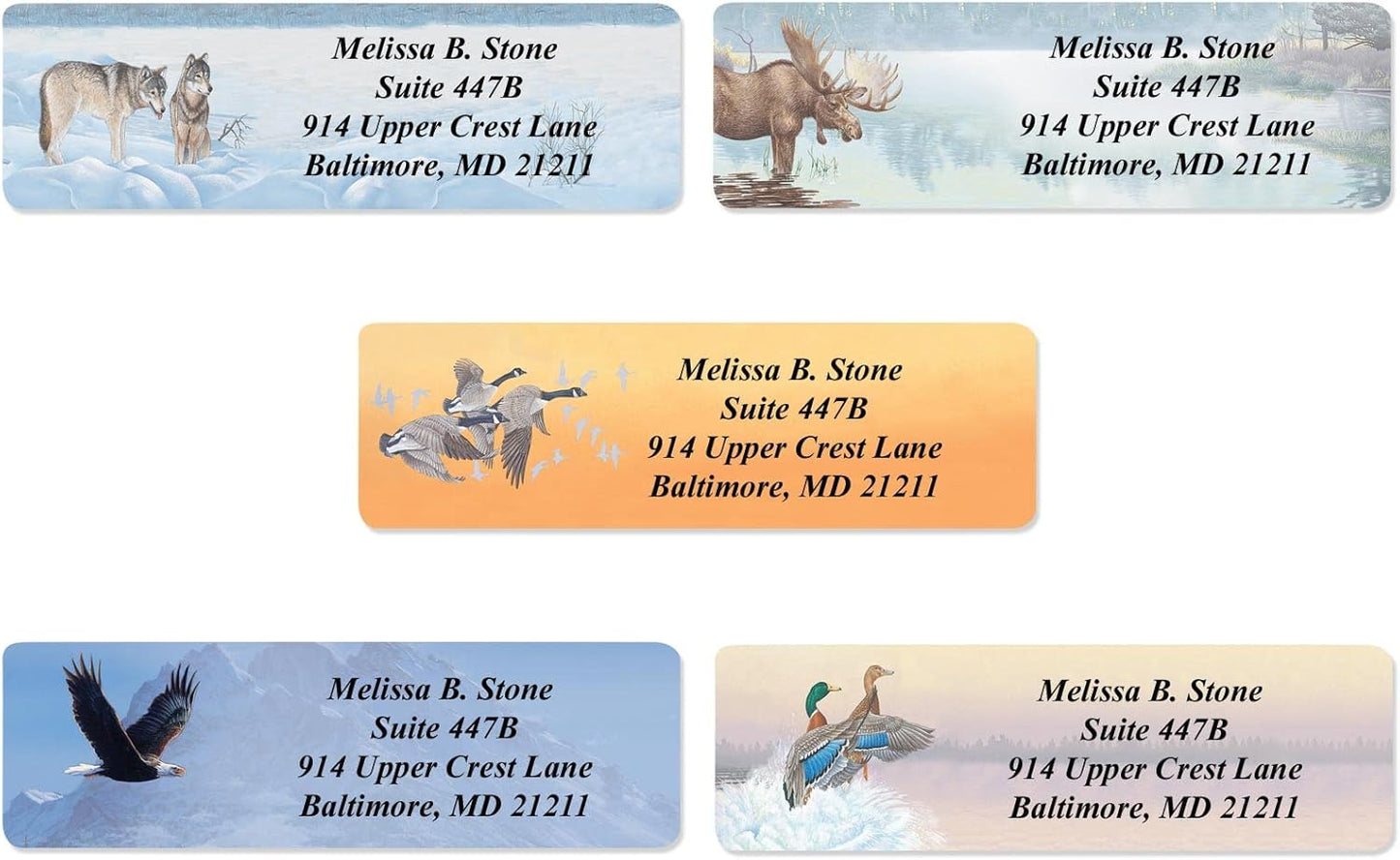 in The Wild Assorted Designer Name & Address Labels with Elegant Plastic Dispenser - Lumora Desk