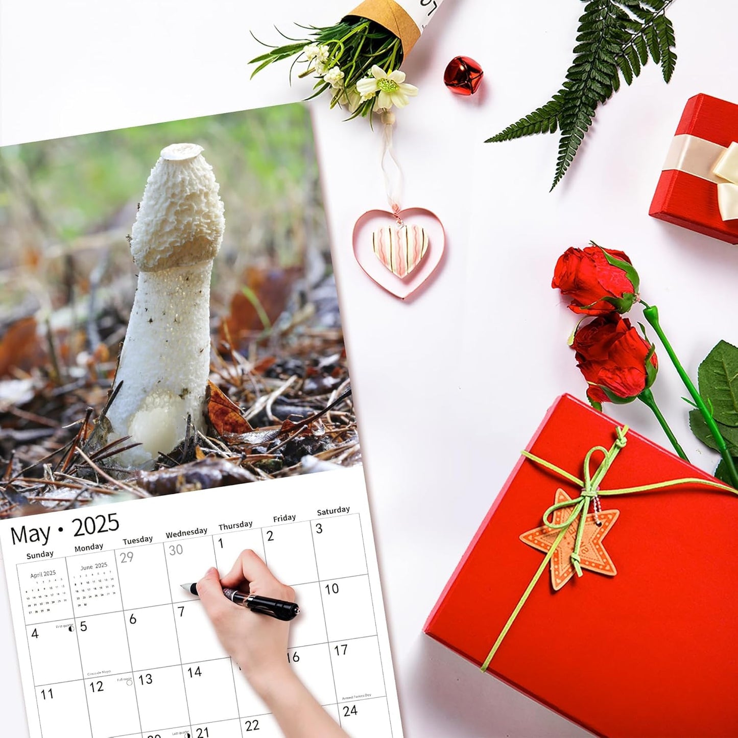 2025 Wall Calendar Funny Natures Dongs, January 2025 - December 2025, Funny Gag Gift for Adults, White Elephant Gift, 12 Months Organizer with D'ck Pics Nature Photos, 12" x 24" Opened