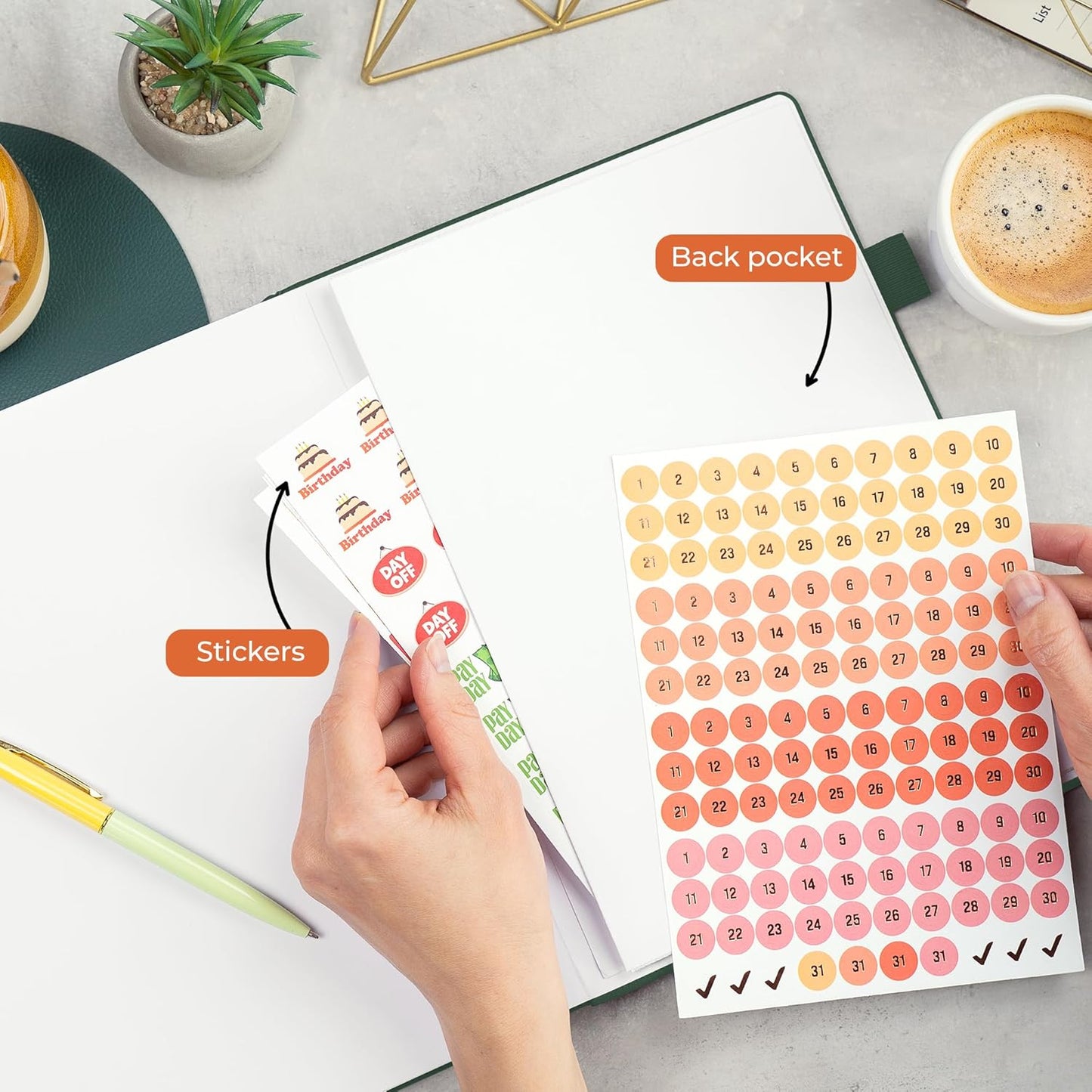 Clever Fox Appointment Book – Hourly Schedule Planner with 15-Minute Increments – Time Box Planner for Daily Work & To-Dos – Weekly & Monthly Spreads, Undated, Hardcover, 8.3x11″ (Dark Green)