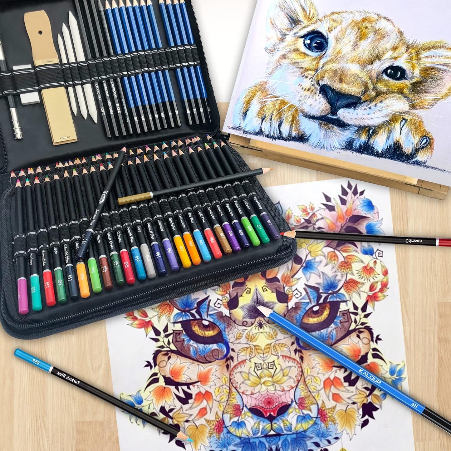 KALOUR 96 Premium Drawing Pencil Set,including 72 Colored pencil and 24 sketch kit, for Drawing,sketching and Coloring Books,Art Supplies for Beginner,Artists and Adults