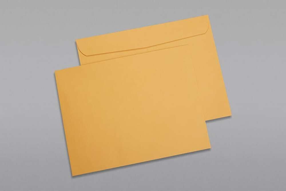 Limited Papers (TM) Booklet Envelopes, (Open Side) Brown Kraft, Gummed Seal, 28 Pound, Heavyweight, For Mailing And More. (500, 10 x 15)
