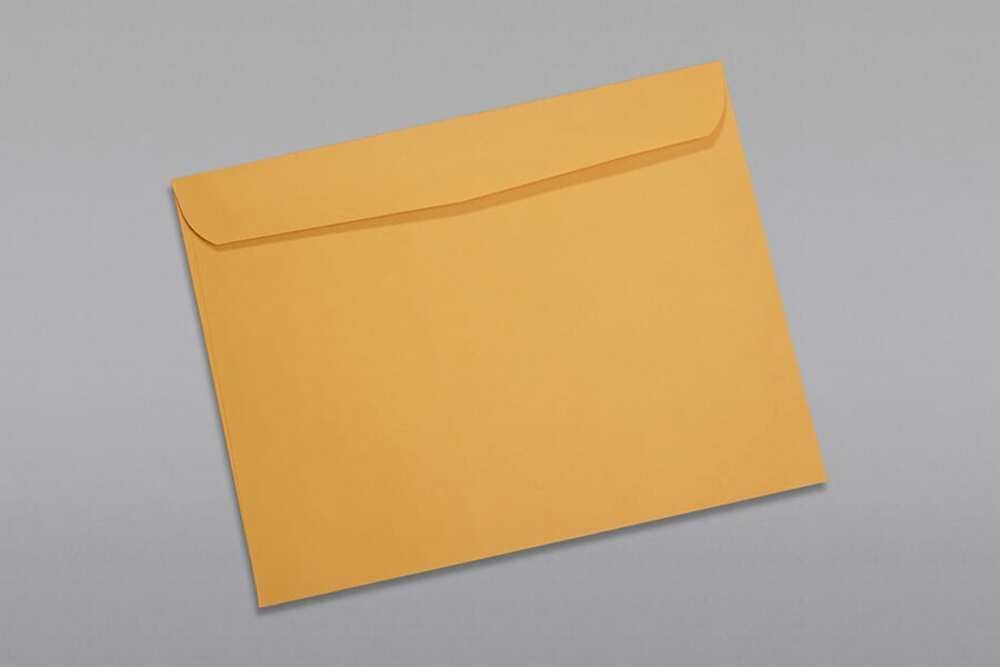 Limited Papers (TM) Booklet Envelopes, (Open Side) Brown Kraft, Gummed Seal, 28 Pound, Heavyweight, For Mailing And More. (50, 10 x 13)