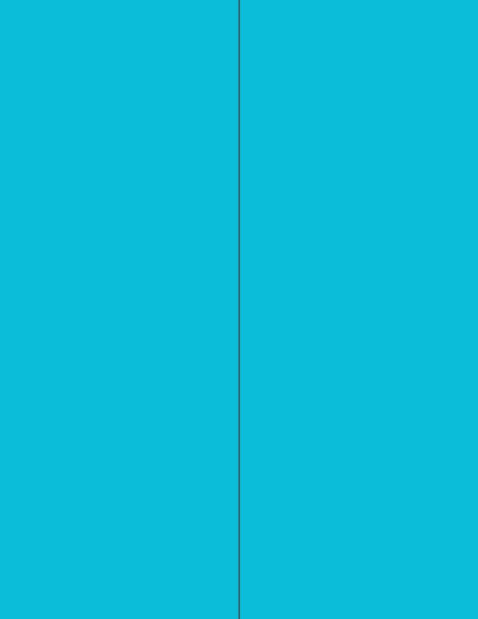 NextDayLabels - 8-1/2 x 11 Neon Color High Light Fluorescent Labels for Laser & Inkjet Printer (Blue Fluorescent, 4-1/4" x 11" - 2 Per Page | 50 Labels)