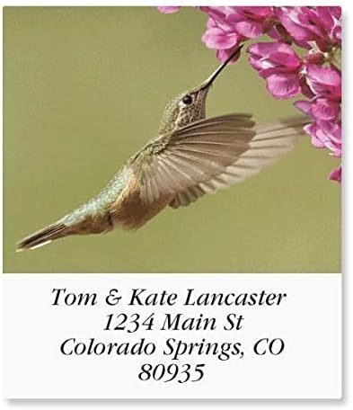 Colorful Images Birds of North America Return Address Mailing Labels, Personalize with Name & Addresses, Set of 144 Self Adhesive, Easy Peel Flat Label Sheets, 1 ½ x 1 ¾”, 24 Designs - Lumora Desk