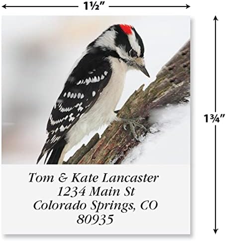 Colorful Images Birds of North America Return Address Mailing Labels, Personalize with Name & Addresses, Set of 144 Self Adhesive, Easy Peel Flat Label Sheets, 1 ½ x 1 ¾”, 24 Designs - Lumora Desk