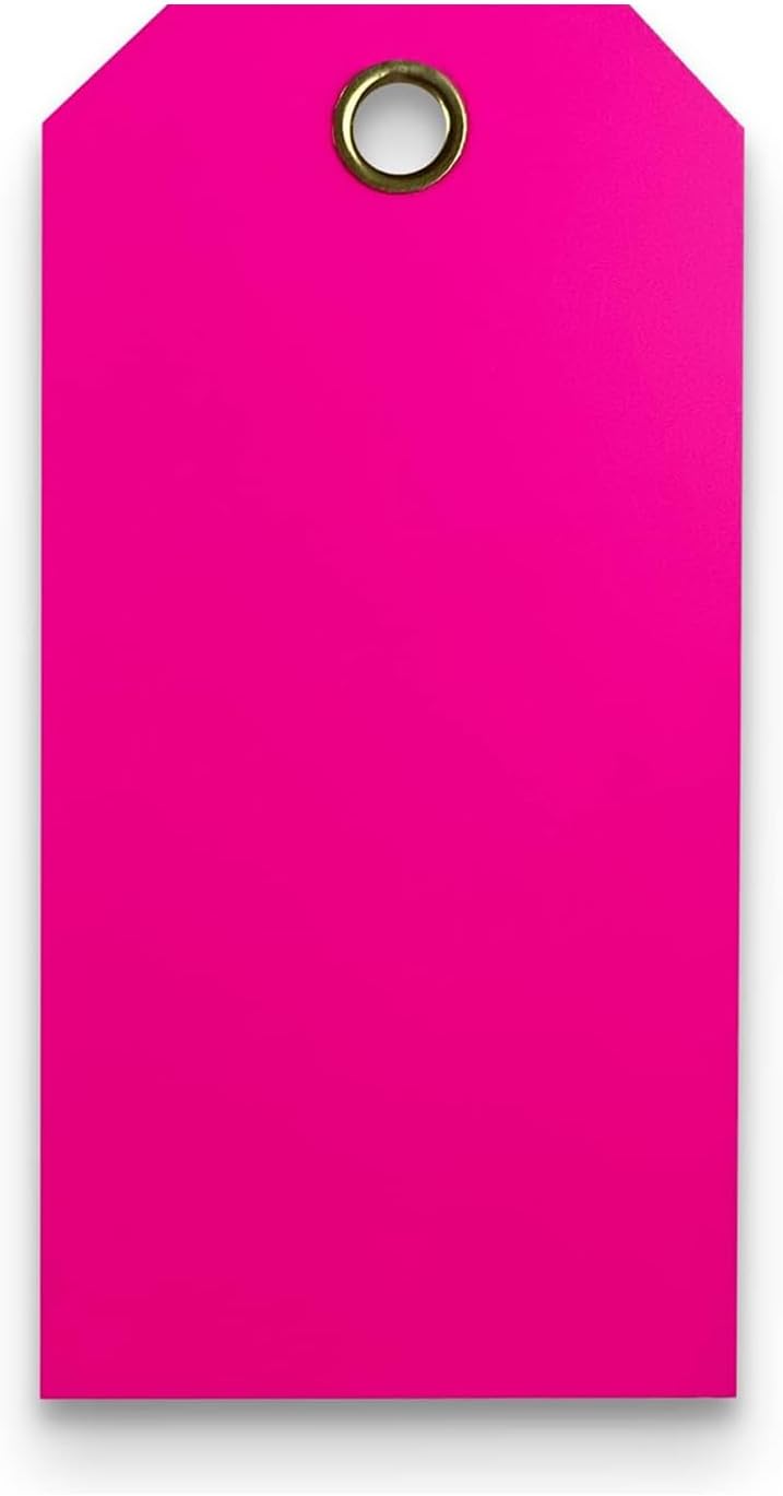 Tags 4 Less 15 Mil Waterproof Plastic Tags, Pack of 100 – 4” x 8” Heavy Duty Plastic Tags for Labeling, Outdoor Tagging, Equipment Labeling, Luggage, Valves & More (Fluorescent Pink)