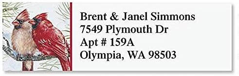 Colorful Images Garden Friends Birds Return Address Mailing Labels, Personalize with Name & Addresses, Set of 240 Self Adhesive, Easy Peel Flat Label Sheets, ⅝ x 2”, 6 Designs - Lumora Desk