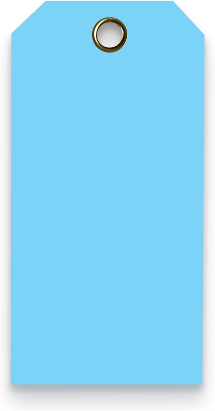 Tags 4 Less 15 Mil Waterproof Plastic Tags, Pack of 100 – 2” x 4” Heavy Duty Plastic Tags for Labeling, Outdoor Tagging, Equipment Labeling, Luggage, Valves & More (Light Blue)