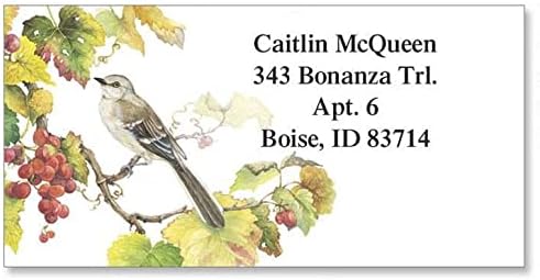 Colorful Images Songbirds Return Address Mailing Labels, Personalize with Name & Addresses, Set of 144 Self Adhesive, Easy Peel Flat Label Sheets, 1 ⅛ x 2 ¼”, 6 Designs - Lumora Desk