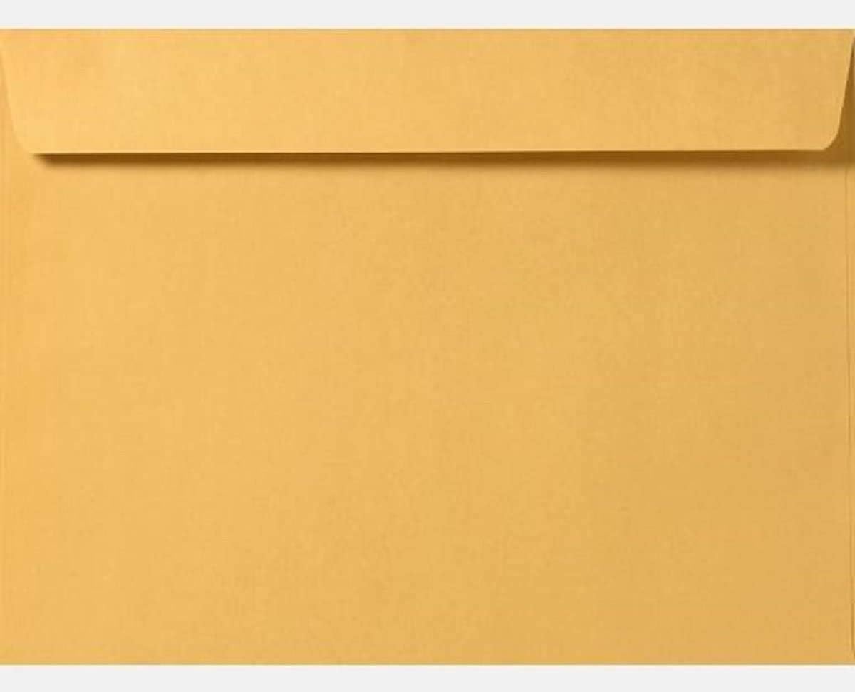 Limited Papers (TM) Booklet Envelopes, (Open Side) Brown Kraft, Gummed Seal, 28 Pound, Heavyweight, for Mailing and More. (500, 6 x 9.5)