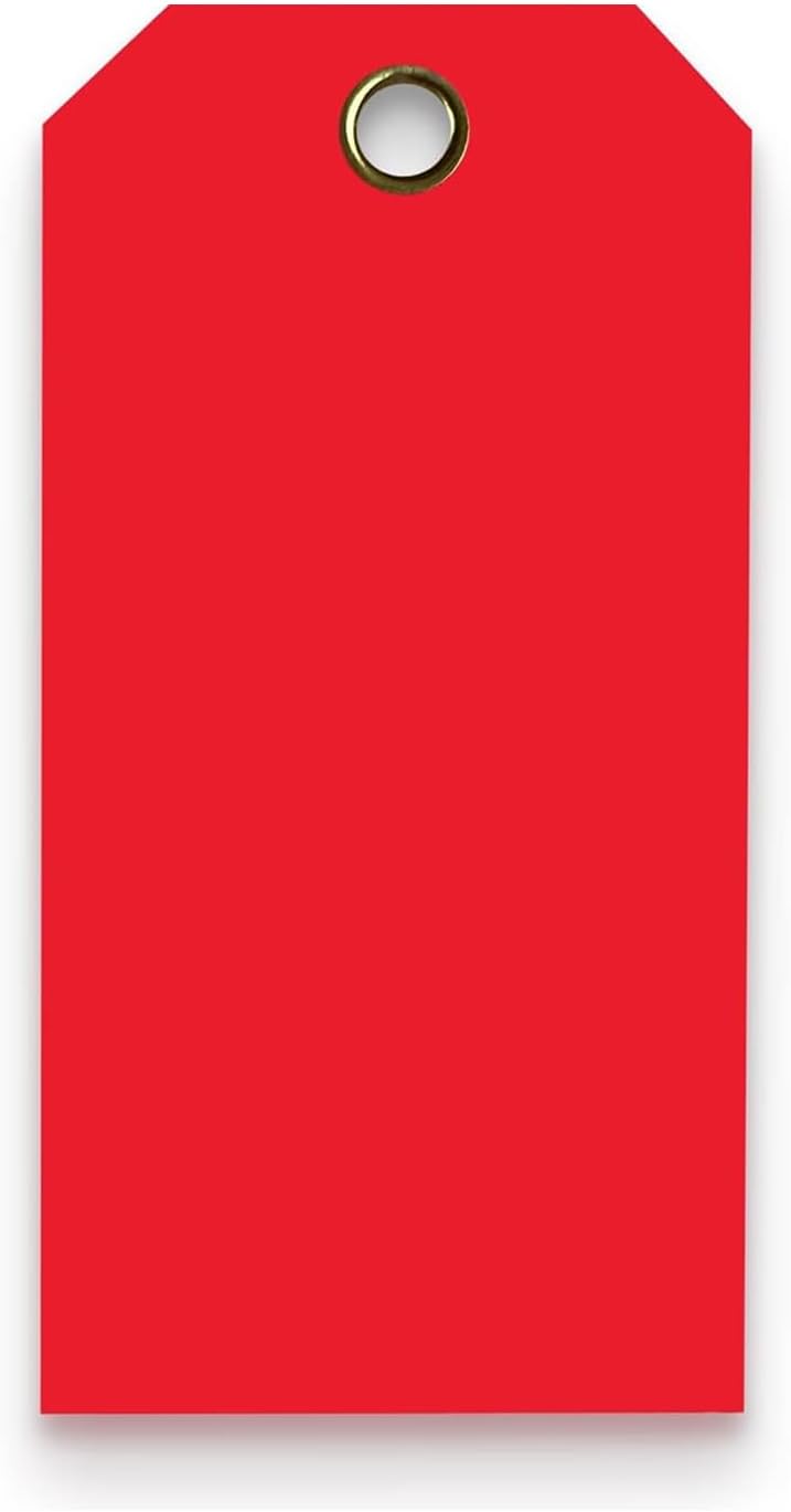 Tags 4 Less 15 Mil Waterproof Plastic Tags, Pack of 100 – 3” x 6” Heavy Duty Plastic Tags for Labeling, Outdoor Tagging, Equipment Labeling, Luggage, Valves & More (Red)