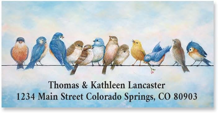 Colorful Images Spring Tweets Birds Return Address Mailing Labels, Personalize with Name & Addresses, Set of 144 Self Adhesive, Easy Peel Flat Label Sheets, 1 ⅛" x 2 ¼", 1 Design - Lumora Desk