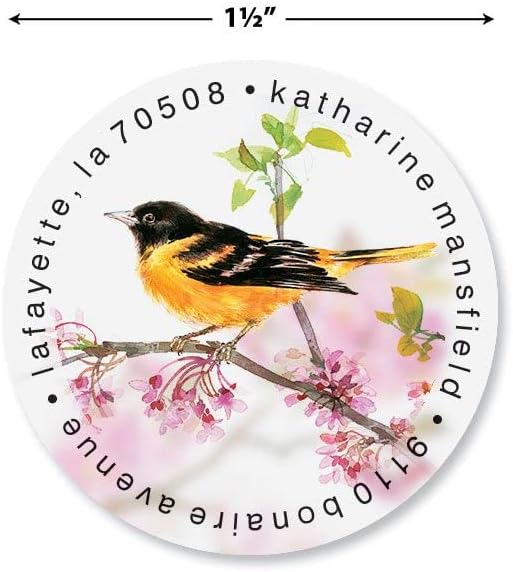 Colorful Images Spring Birds Return Address Mailing Labels, Personalize with Name & Addresses, Set of 144 Self Adhesive, Easy Peel Flat Label Sheets, 1-½" Across, 3 Designs - Lumora Desk