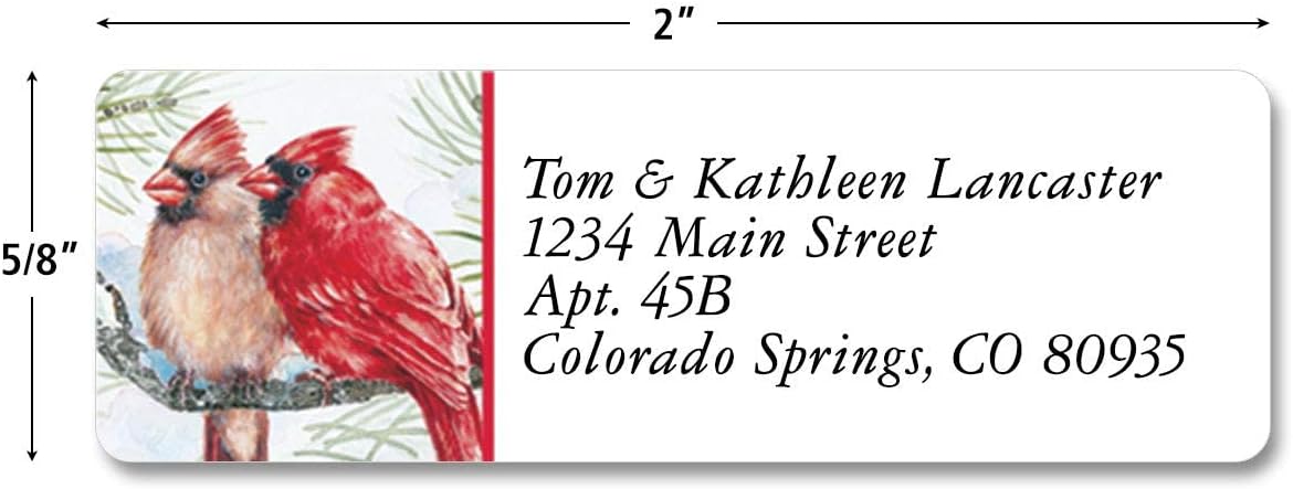 Colorful Images Garden Friends Birds Return Address Mailing Labels, Personalize with Name & Addresses, Set of 240 Self Adhesive, Easy Peel Flat Label Sheets, ⅝ x 2”, 6 Designs - Lumora Desk