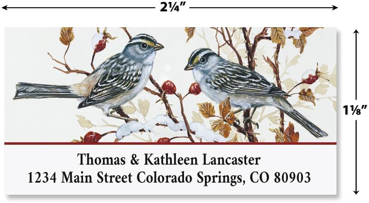 Colorful Images Garden Friends Birds Return Address Mailing Labels, Personalize with Name & Addresses, Set of 144 Self Adhesive, Easy Peel Flat Label Sheets, 1 ⅛ x 2 ¼”, 6 Designs - Lumora Desk