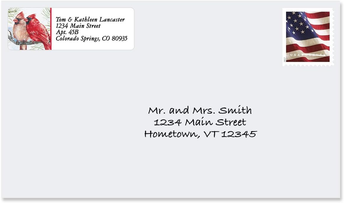 Colorful Images Garden Friends Birds Return Address Mailing Labels, Personalize with Name & Addresses, Set of 240 Self Adhesive, Easy Peel Flat Label Sheets, ⅝ x 2”, 6 Designs - Lumora Desk
