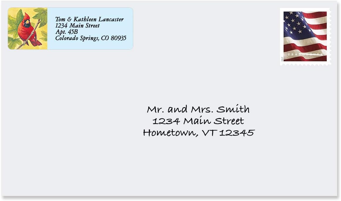 Colorful Images Birds of America Return Address Mailing Labels, Personalize with Name & Addresses, Set of 240 Self Adhesive, Easy Peel Flat Label Sheets, ⅝ inch x 2”, 12 Designs - Lumora Desk