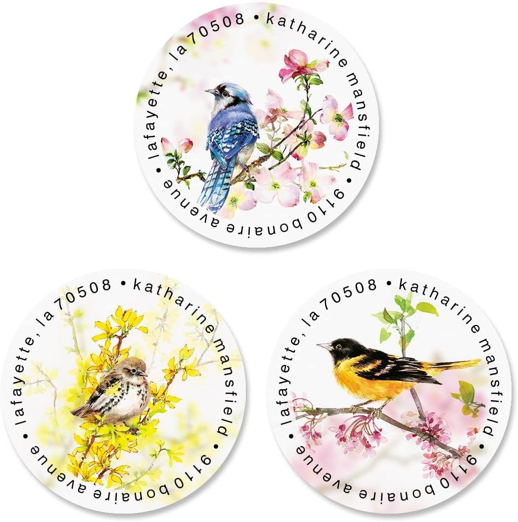 Colorful Images Spring Birds Return Address Mailing Labels, Personalize with Name & Addresses, Set of 144 Self Adhesive, Easy Peel Flat Label Sheets, 1-½" Across, 3 Designs - Lumora Desk