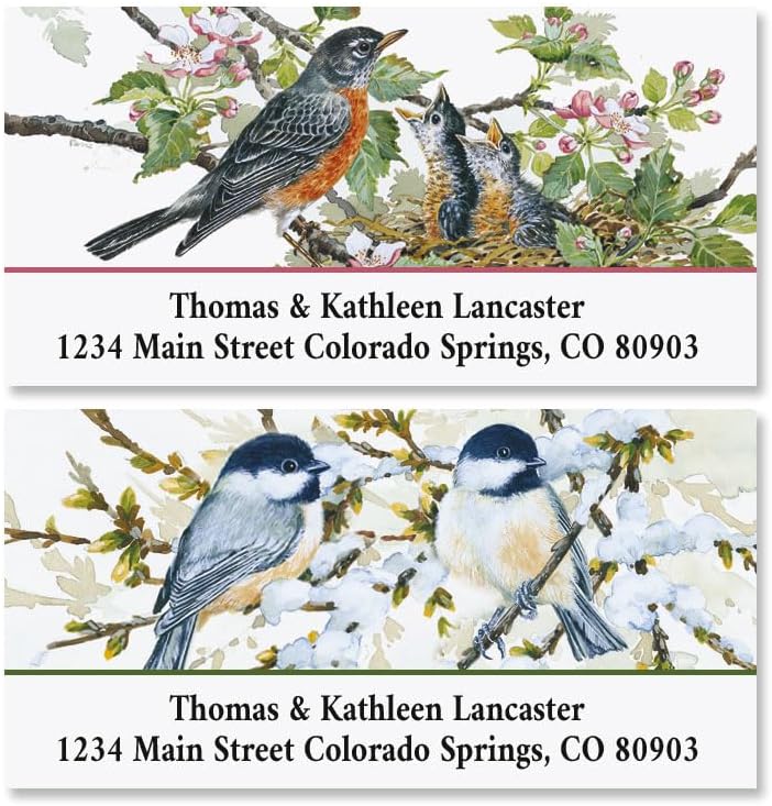 Colorful Images Garden Friends Birds Return Address Mailing Labels, Personalize with Name & Addresses, Set of 144 Self Adhesive, Easy Peel Flat Label Sheets, 1 ⅛ x 2 ¼”, 6 Designs - Lumora Desk