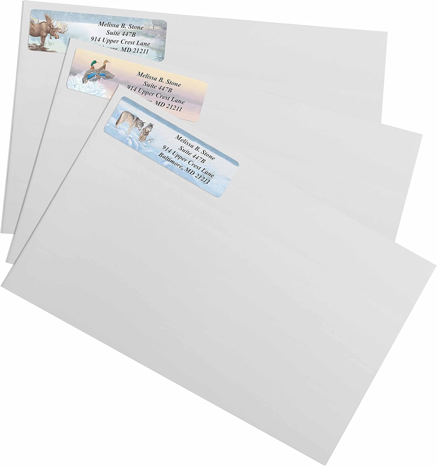 in The Wild Assorted Designer Name & Address Labels with Elegant Plastic Dispenser - Lumora Desk