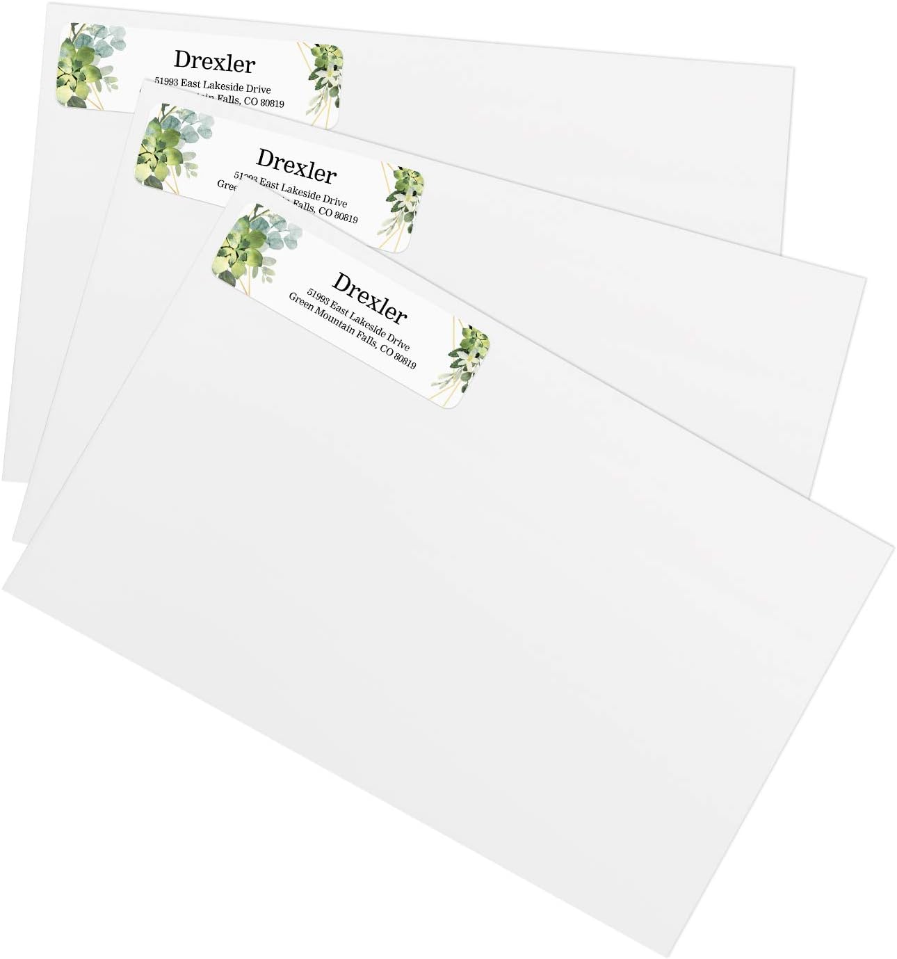 Greenery Frames Rolled Address Labels/Roll of 250 Personalized Address Labels/Designer Return Address Stickers in Elegant Plastic Dispenser - Lumora Desk