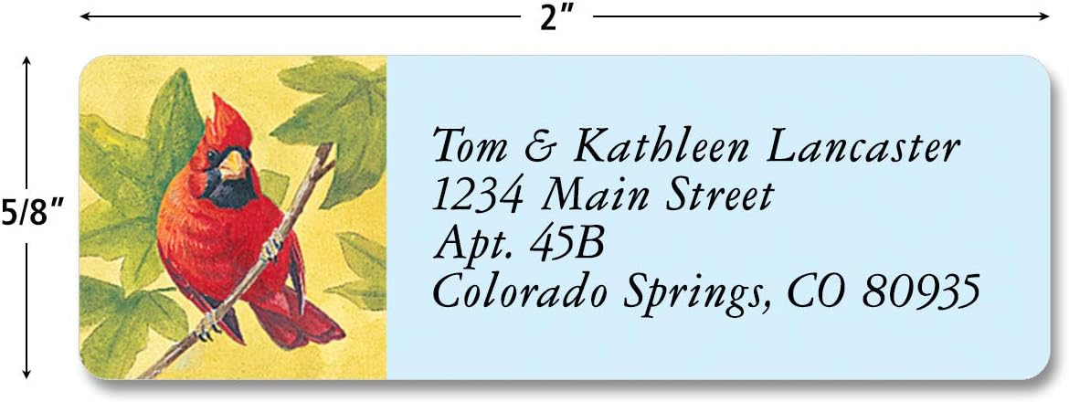 Colorful Images Birds of America Return Address Mailing Labels, Personalize with Name & Addresses, Set of 240 Self Adhesive, Easy Peel Flat Label Sheets, ⅝ inch x 2”, 12 Designs - Lumora Desk