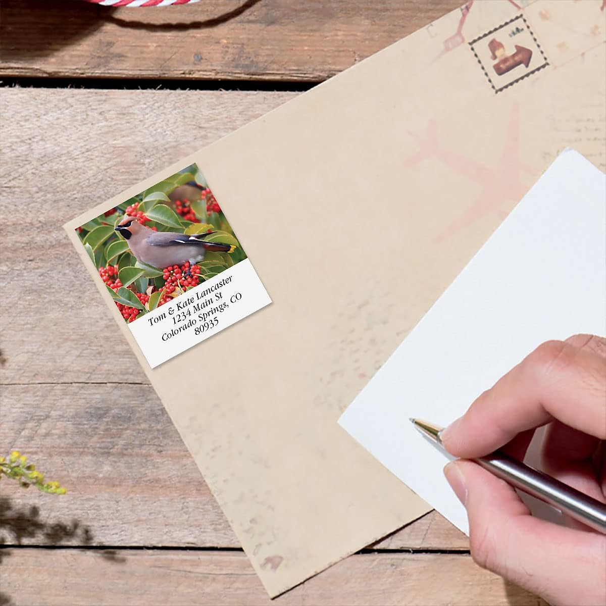 Colorful Images Birds of North America Return Address Mailing Labels, Personalize with Name & Addresses, Set of 144 Self Adhesive, Easy Peel Flat Label Sheets, 1 ½ x 1 ¾”, 24 Designs - Lumora Desk