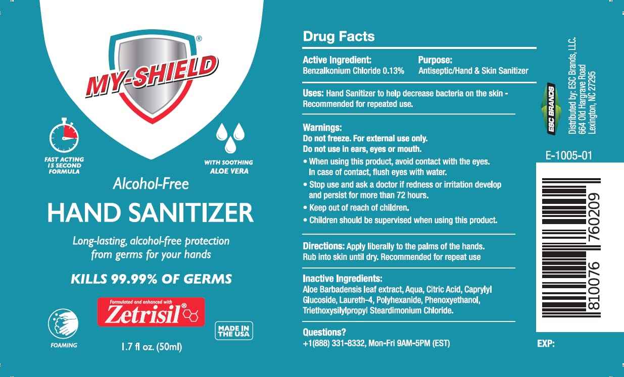 Hand Sanitizer Foam 1.7 oz (4 pack). Long-lasting protection. Softens hands with Aloe Vera. Formulated with Zetrisil. Alcohol FREE. FDA Registered