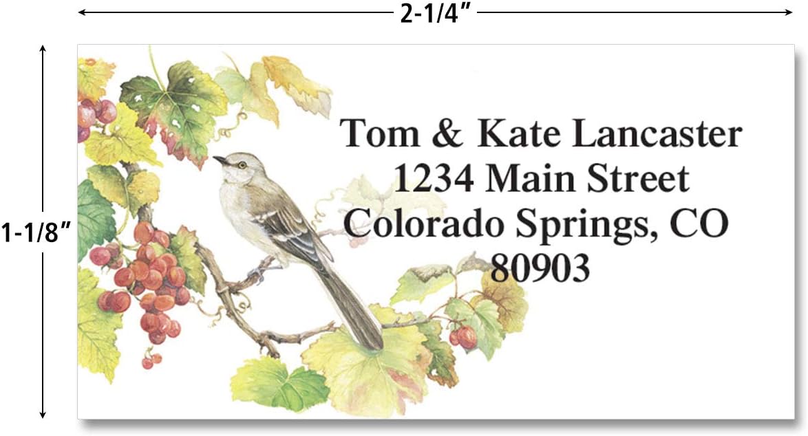 Colorful Images Songbirds Return Address Mailing Labels, Personalize with Name & Addresses, Set of 144 Self Adhesive, Easy Peel Flat Label Sheets, 1 ⅛ x 2 ¼”, 6 Designs - Lumora Desk