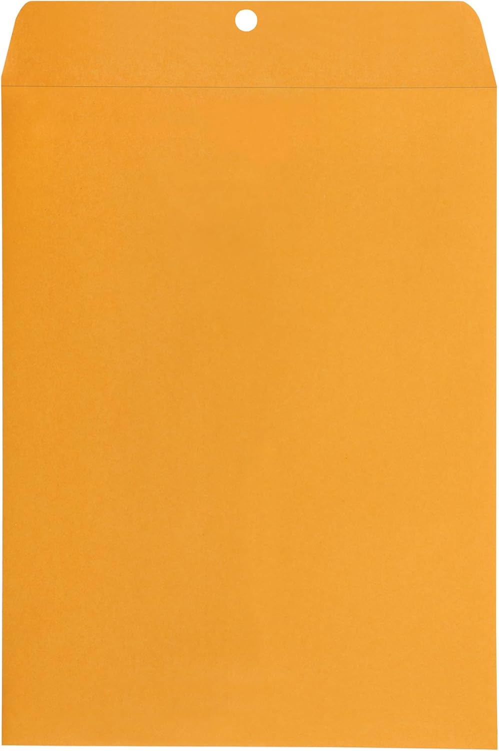 Amazon Basics Clasp Kraft Envelopes, Gummed Mailing Envelope, 9 x 12 inch, 100-Pack - Lumora Desk