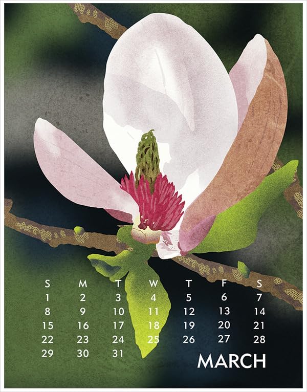 Linnea Design 2026 Desktop Calendar 5 x 7" Artwork by Johanna Riley