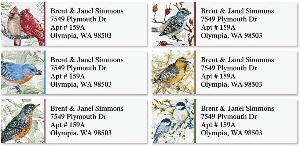 Colorful Images Garden Friends Birds Return Address Mailing Labels, Personalize with Name & Addresses, Set of 240 Self Adhesive, Easy Peel Flat Label Sheets, ⅝ x 2”, 6 Designs - Lumora Desk