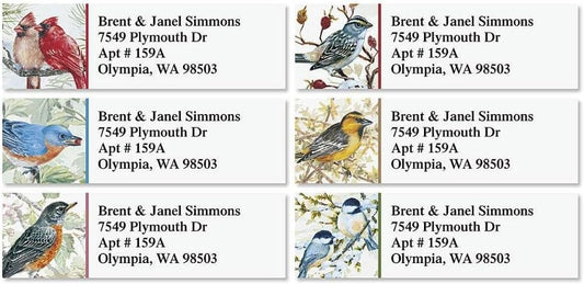 Colorful Images Garden Friends Birds Return Address Mailing Labels, Personalize with Name & Addresses, Set of 240 Self Adhesive, Easy Peel Flat Label Sheets, ⅝ x 2”, 6 Designs - Lumora Desk