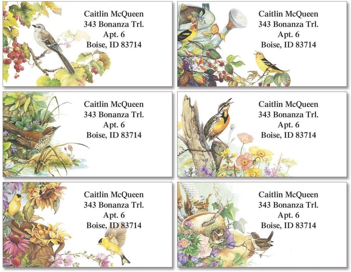 Colorful Images Songbirds Return Address Mailing Labels, Personalize with Name & Addresses, Set of 144 Self Adhesive, Easy Peel Flat Label Sheets, 1 ⅛ x 2 ¼”, 6 Designs - Lumora Desk