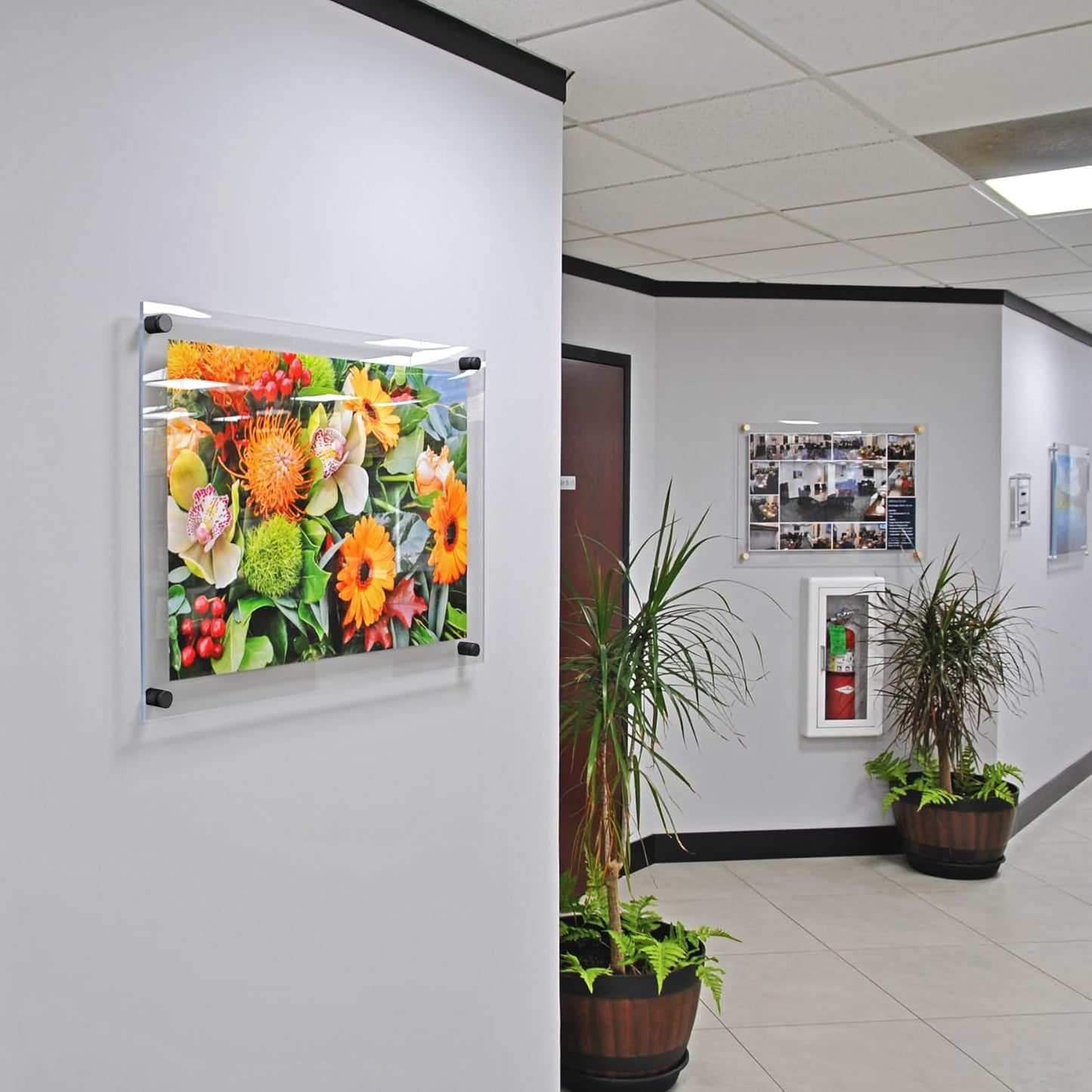 Azar Displays 105530-BLK Acrylic Floating Double Panel Wall Frame,22" x 28" Graphic Size, Overall Frame Size: 26" x 32", Black