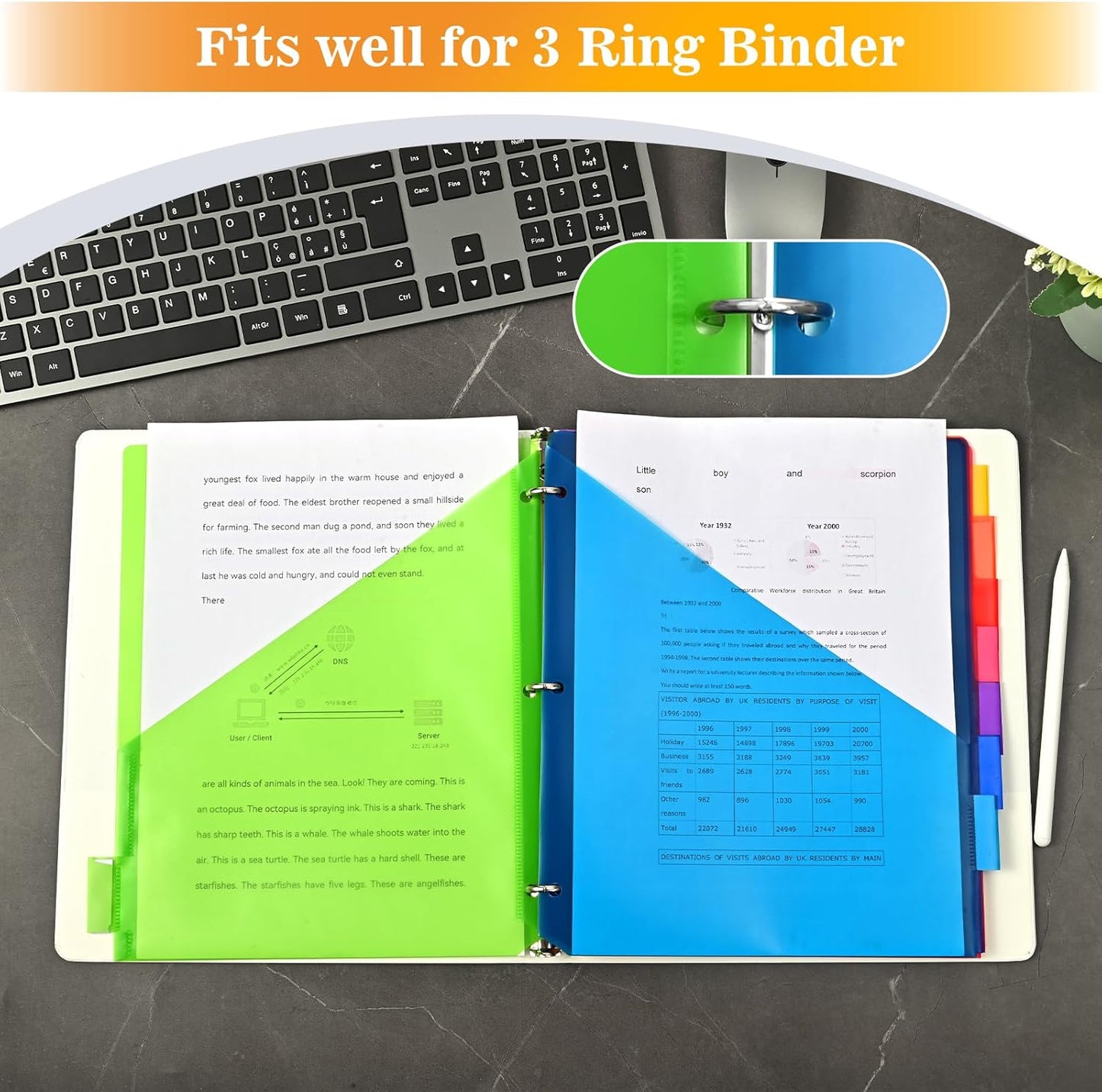 8-Tab Dividers for 3 ring binder, 96 Count Binder Dividers with Pockets, Subject Dividers, 3-Hole Plastics Sheets Protectors for US Letter Size in 0.5", 1",2" Binders, Vibrant 8 Color, 12 Packs