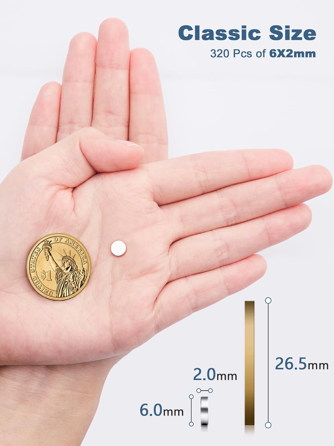 SMARTAKE 320 Pcs Refrigerator Magnets, 6x2mm Small Round Fridge Magnet, Multi-Use Premium Neodymium Office Magnets for Fridge, Whiteboard, Billboard in Home, Kitchen, Office and School (Silver)