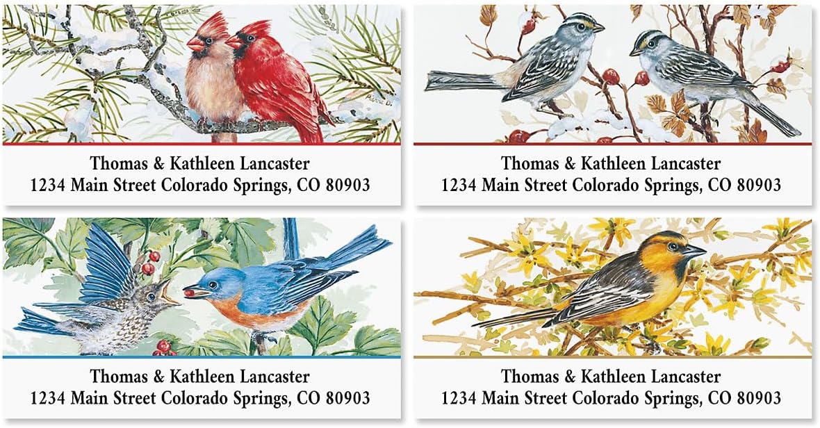 Colorful Images Garden Friends Birds Return Address Mailing Labels, Personalize with Name & Addresses, Set of 144 Self Adhesive, Easy Peel Flat Label Sheets, 1 ⅛ x 2 ¼”, 6 Designs - Lumora Desk