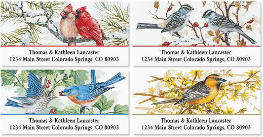 Colorful Images Garden Friends Birds Return Address Mailing Labels, Personalize with Name & Addresses, Set of 144 Self Adhesive, Easy Peel Flat Label Sheets, 1 ⅛ x 2 ¼”, 6 Designs - Lumora Desk