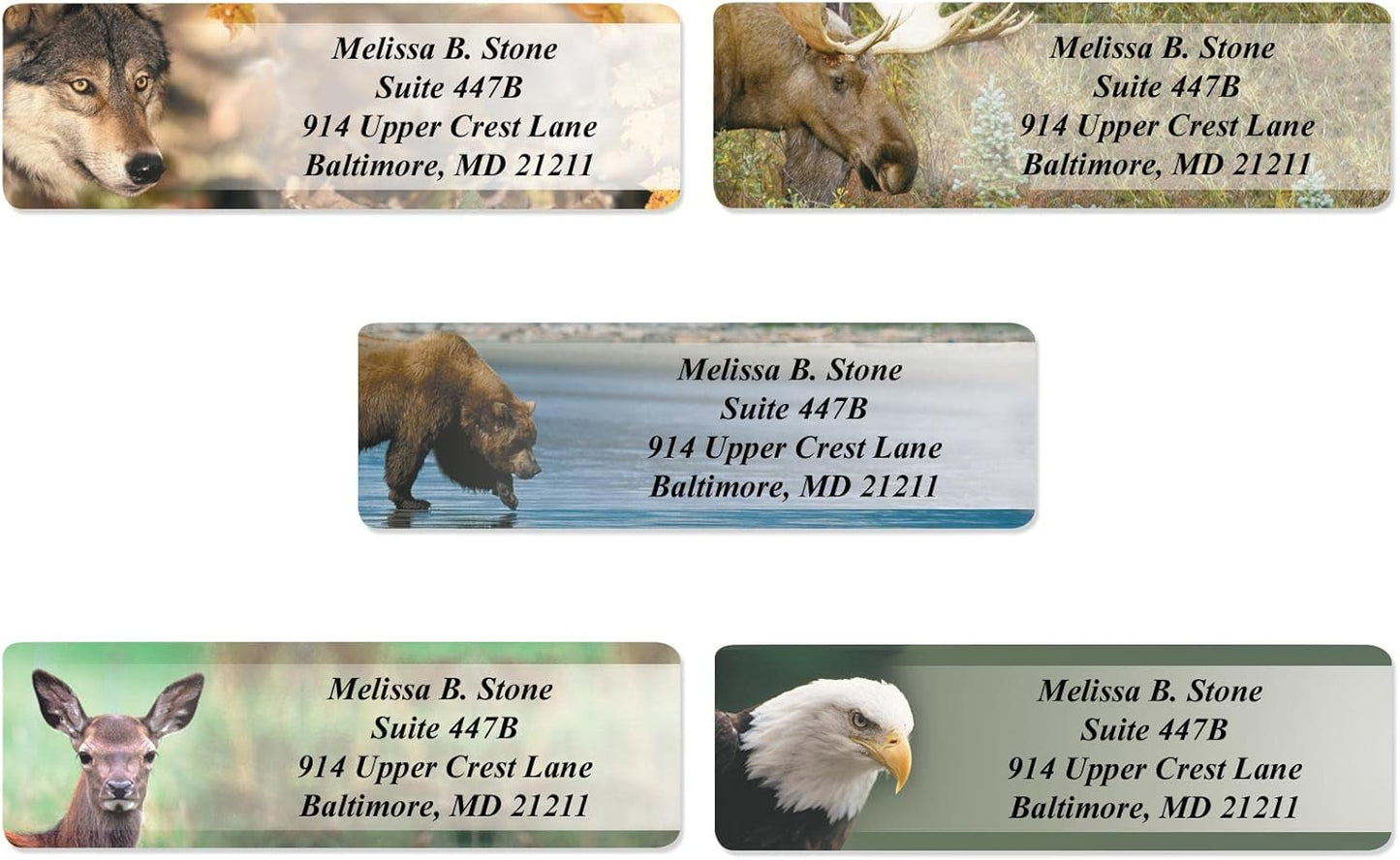 Nature's Wildlife Assorted Designer Rolled Address Labels with Elegant Plastic Dispenser - Lumora Desk