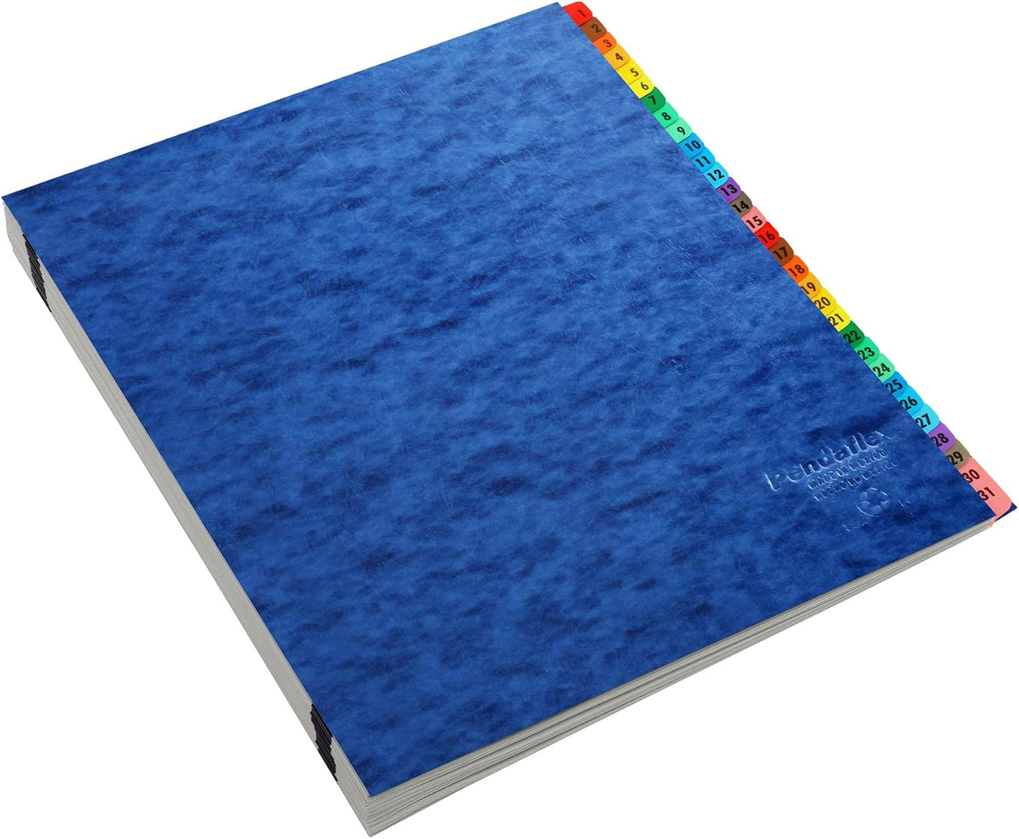 Pendaflex Expanding Desk File, Daily (1–31), Letter Size, Blue, Each (11013) (11013EE) , Black