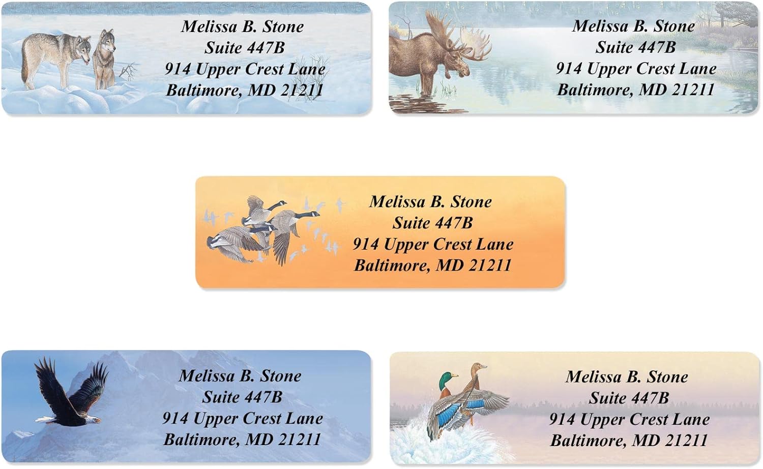 in The Wild Assorted Designer Name & Address Labels with Elegant Plastic Dispenser - Lumora Desk