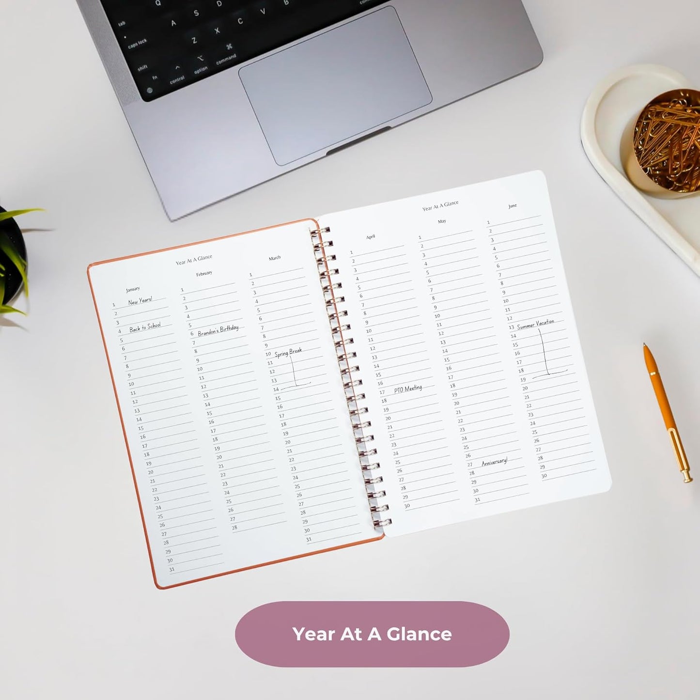 | Ultimate Yearly, Daily, Weekly, Monthly Planner | 8.25" x 11.75" | To Do List Notebook for Work | Simple Design | Multiple Layouts | Academic Planner and Organizer Notebook (Evergreen, Yearly Planner - Portrait)