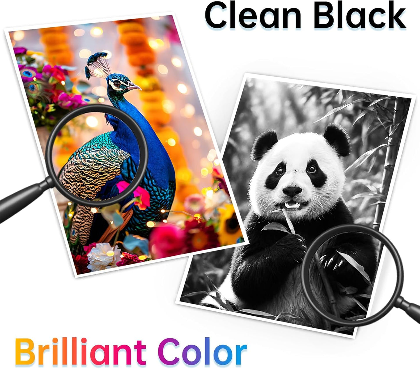 Remanufactured Ink Cartridge Replacement for Epson 232 Combo Pack 232XL 232 XL T232XL used for Epson Expression Home XP-4200 XP-4205 WF-2930 WF-2950 Printer Ink (4 Pack, Black Cyan Magenta Yellow)