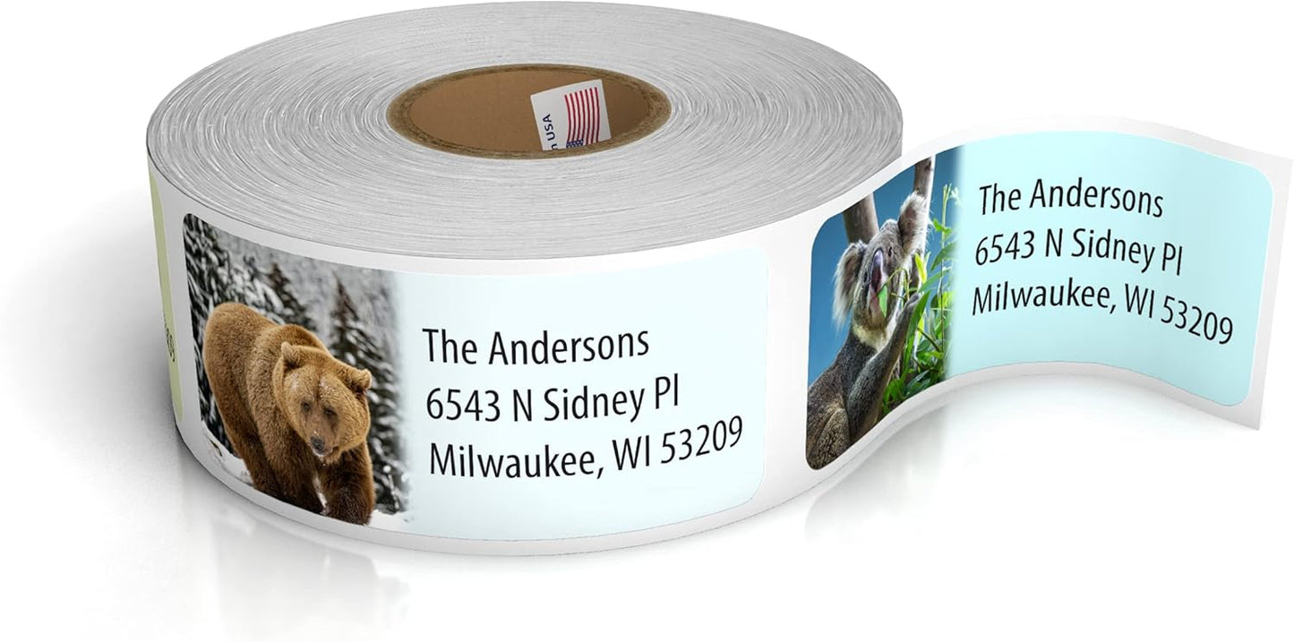 Customized Personalized Address Labels - Made in The USA by Kenco (Wild Animals, 500 Labels) - Lumora Desk