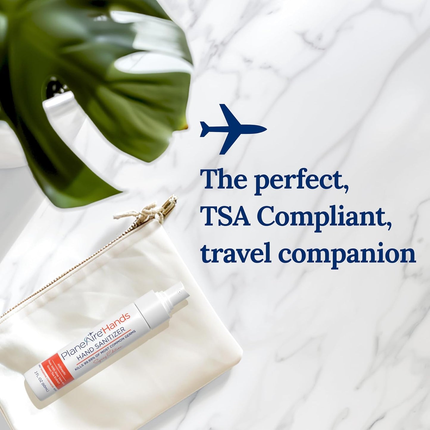 Tangerine Coriander Spray Hand Sanitizer | Travel Size | Hydrate & Cleanse | Made with Aloe Vera & Essential Oils | Green Tea Extract | Scented Travel Hand Sanitizer | Hand Sanitizer Spray | 6-Pack