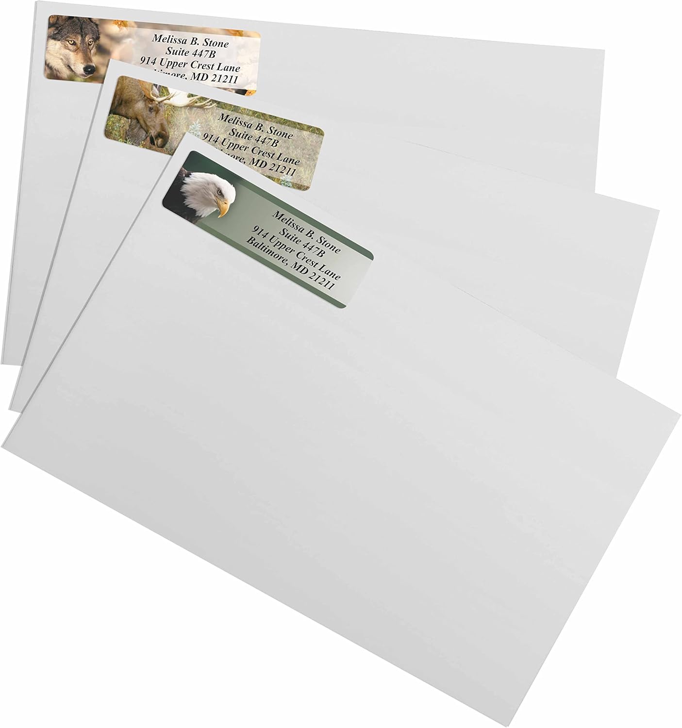 Nature's Wildlife Assorted Designer Rolled Address Labels with Elegant Plastic Dispenser - Lumora Desk