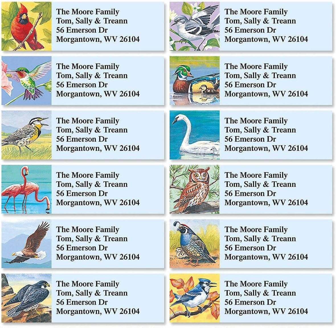 Colorful Images Birds of America Return Address Mailing Labels, Personalize with Name & Addresses, Set of 240 Self Adhesive, Easy Peel Flat Label Sheets, ⅝ inch x 2”, 12 Designs - Lumora Desk